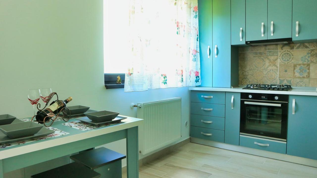 Cozy Flowers Studio - Fast Wi-Fi & Washer-Dryer Brașov Exterior foto